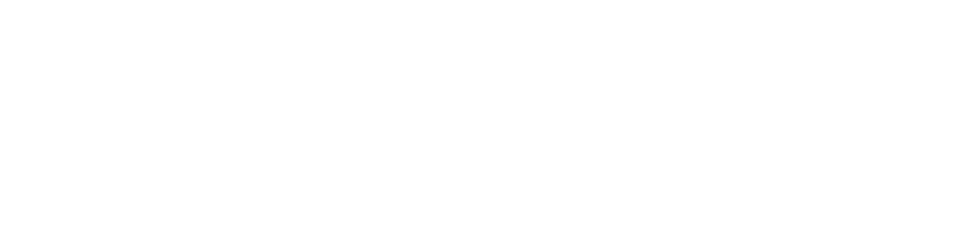 Norsk Data Logo